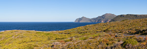 Vasco da Gama Cross Panorama